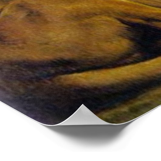 Daniel in de Den Haag van de Lion Poster (Hoek)