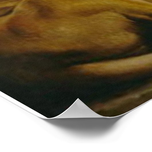 DANIEL IN DE LIONS DEN POSTER (Hoek)