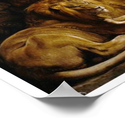 Daniel in het straatschilderen van de Lions Poster (Hoek)