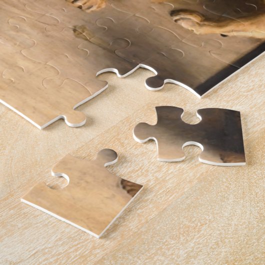 Daniel in the Lions Den 1872, ingediend door Brito Legpuzzel (Zijkant)