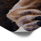 Daniel in the Lion's Den Poster (Hoek)