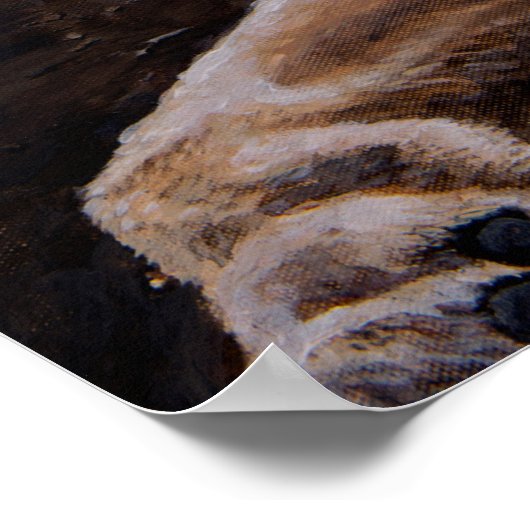 Daniel in the Lion's Den Poster (Hoek)