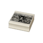 Daniel in the Lions' Den Rubberstempel (Stempel)