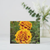 Danielson, Ct Briefkaart (Staand voorkant)