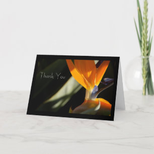 Dank aan de Bird-of-Paradise Kaart