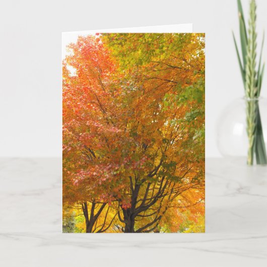 Dank een Veteraan, DSCF8707 Bedankkaart (Voorkant)