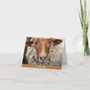 Dank Ewe: Een witte kaart