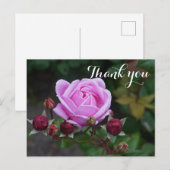 Dank het Roos #1 van het Kasteel van Bisschop Brie Briefkaart (Voorkant / Achterkant)