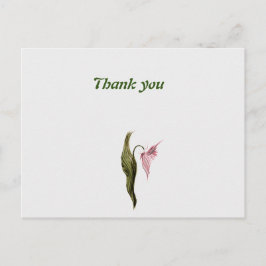  dank je ansichtkaart  briefkaart