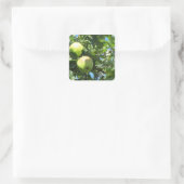 Dank je Apple Vierkante Sticker (Tas)