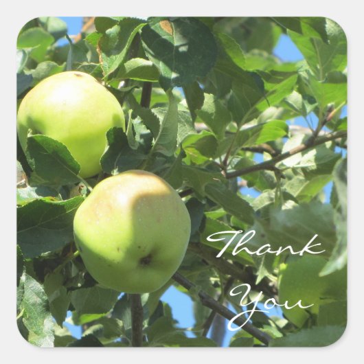 Dank je Apple Vierkante Sticker (Voorkant)