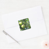 Dank je Apple Vierkante Sticker (Envelop)