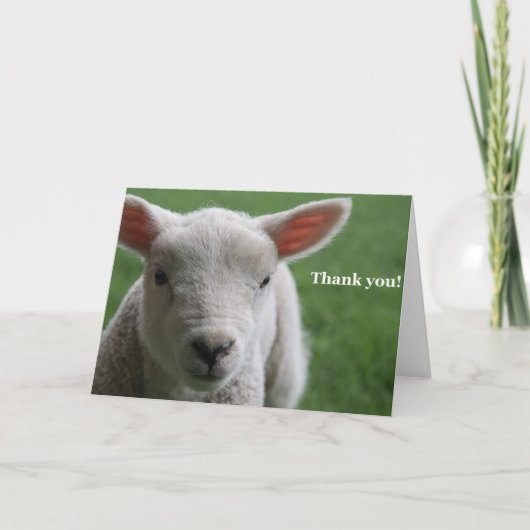 Dank je! bedankkaart (Voorkant)