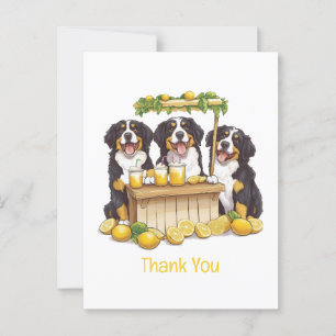 Dank Je Berner Sennenhond Lemonadestand Briefkaart