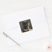 Dank je Black Cat Stickers (Envelop)