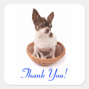 Dank je Chihuahua Puppie Hond Groet Sticker