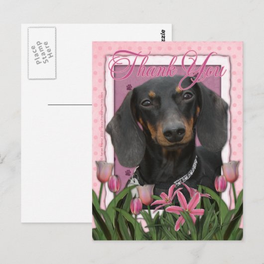 Dank je - Dachshund - Winston Briefkaart (Voorkant / Achterkant)