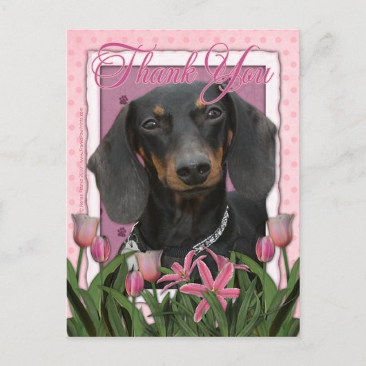 Dank je - Dachshund - Winston Briefkaart (Voorkant)
