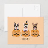 Dank je Franse Bulldoggen Pompoen Briefkaart (Voorkant / Achterkant)