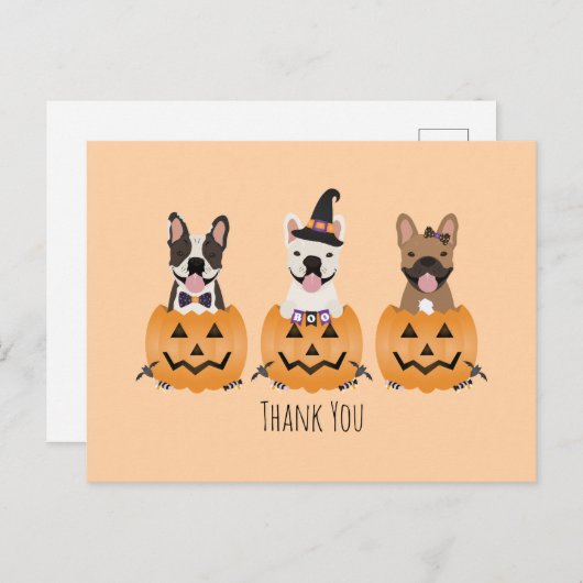 Dank je Franse Bulldoggen Pompoen Briefkaart (Voorkant / Achterkant)