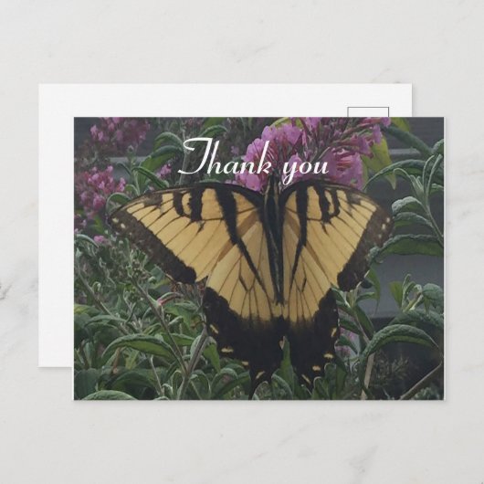 Dank je Gele en Zwarte Vlinder Briefkaart (Voorkant / Achterkant)