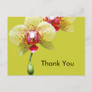 dank je , gele orchidee bloemen briefkaart