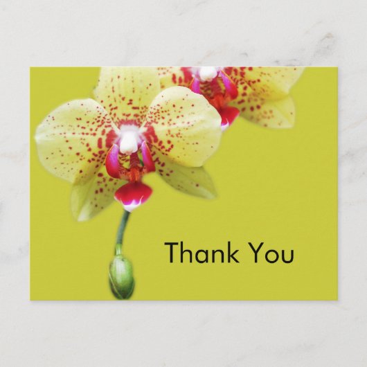 dank je , gele orchidee bloemen briefkaart (Voorkant)