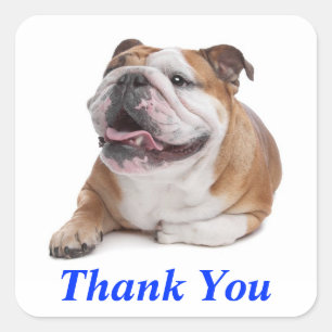 Dank Je Gelukkige Bulldog Puppy Hond Groet Sticker