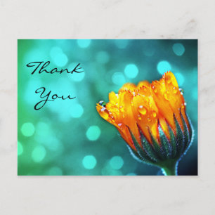 Dank je, Golden Marigold op Blauwgroen Bokeh Briefkaart