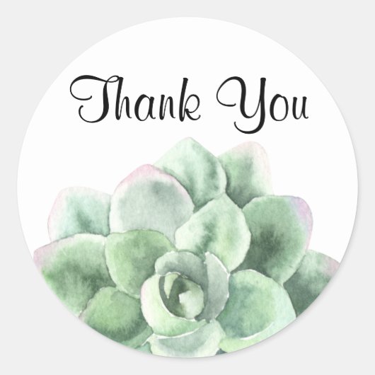Dank je, Green Echeveria Succulent Plant Ronde Sticker (Voorkant)