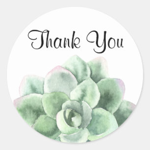 Dank je, Green Echeveria Succulent Plant Ronde Sticker