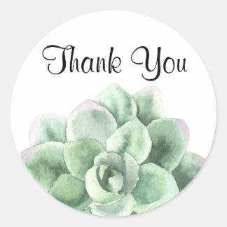Dank je, Green Echeveria Succulent Plant Ronde Sticker
