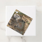 Dank je Grondeekhoorn Foto Woestijn Dier Bedankjes Labels (In situ)