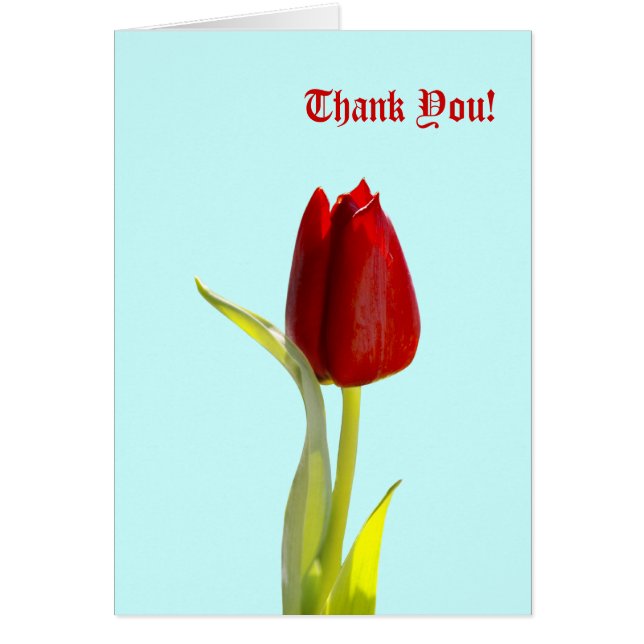 Dank je! Kaarten (Voorkant)