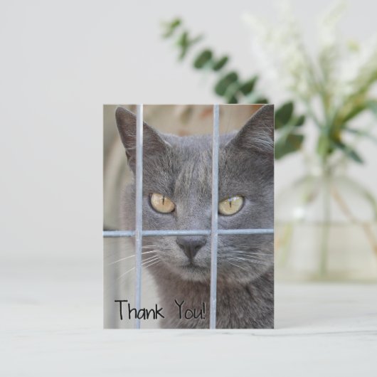 Dank je! Kat Briefkaart (Staand voorkant)