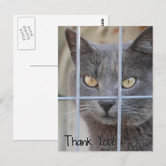 Dank je! Kat Briefkaart (Voorkant / Achterkant)