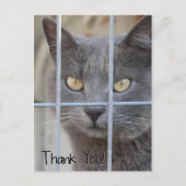 Dank je! Kat Briefkaart (Voorkant)