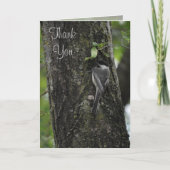 Dank je kleine Birdie Kaarten van Janz (Voorkant)