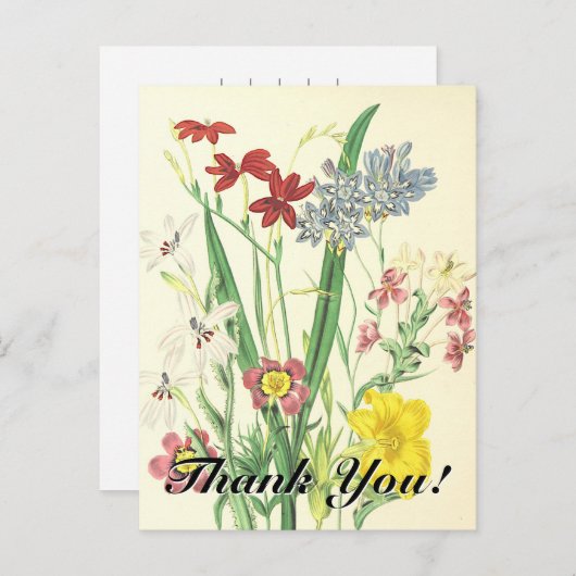 "Dank je!" + , kleurrijke bloemen Briefkaart (Voorkant / Achterkant)