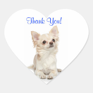 Dank je Langharige Chihuahua Hart Sticker