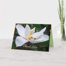 Dank je Magnolia en honingbijen kaart