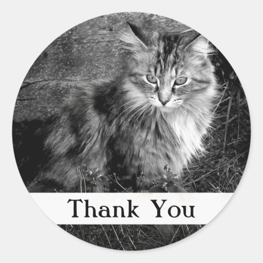 Dank je Maine Coon Kat Sticker (Voorkant)