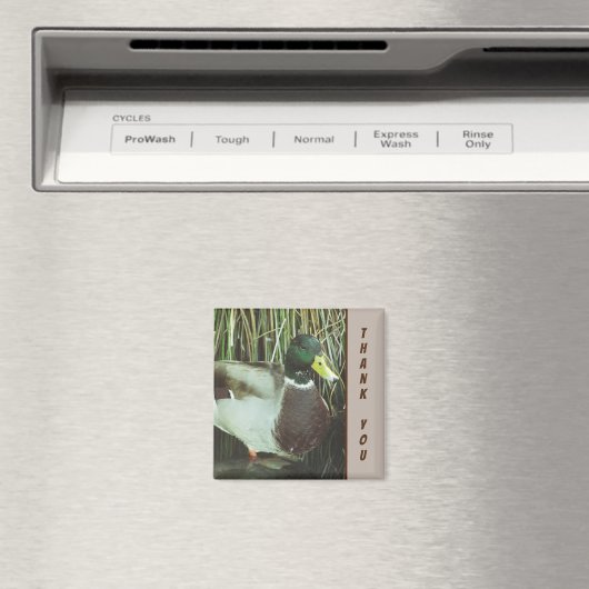 Dank je Mallard Duck Foto Natuur Lake Bird Magneet (Insitu (Vaatwasser))