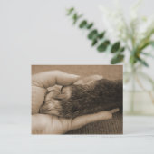 Dank je, mijn vriend. briefkaart (Staand voorkant)