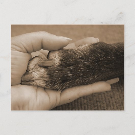 Dank je, mijn vriend. briefkaart (Voorkant)