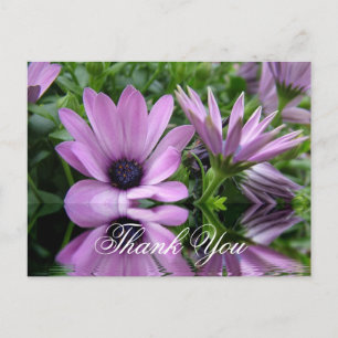 dank je paarse madeliefjes bloemen briefkaart