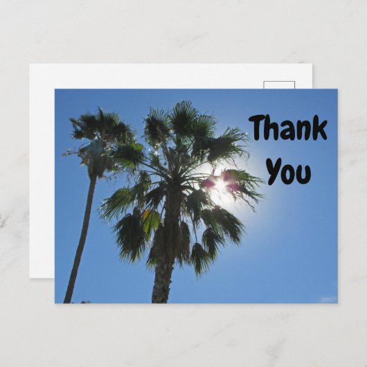 Dank Je Palmboom Tropische Zonneuitbarsting Waarde Briefkaart (Voorkant / Achterkant)