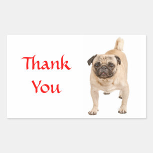 Dank Je Pug Puppies Hond Groet Stickers
