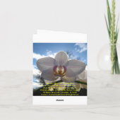 Dank je, Rooster Bedankkaart (Achterkant)