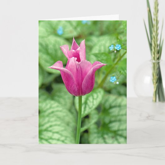 Dank Je Roze Tulp Bedankkaart (Voorkant)